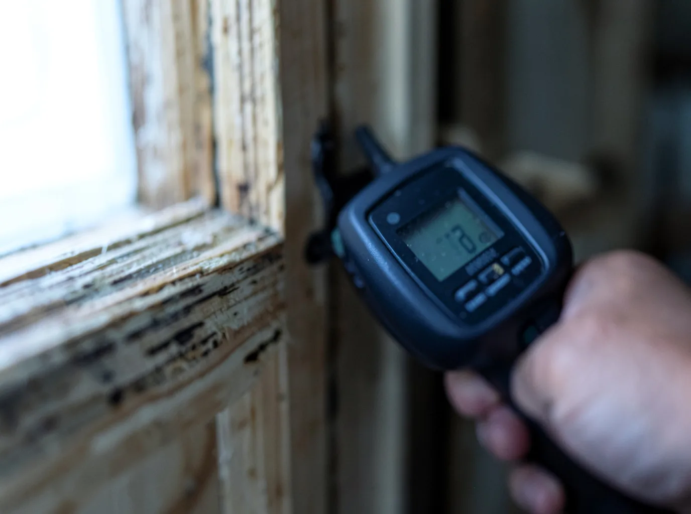 Water Damage Restoration Almont, CO FAQs